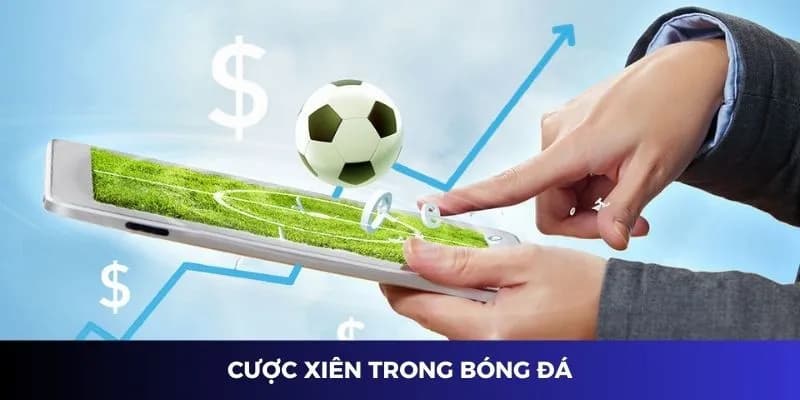 Cách đặt kèo cược xiên dễ hiểu cho người mới bắt đầu