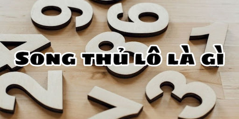 Song Thủ Lô Là Gì?